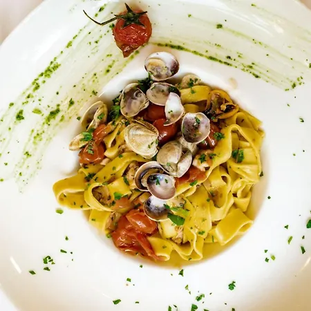 Excelsior 체제나티코