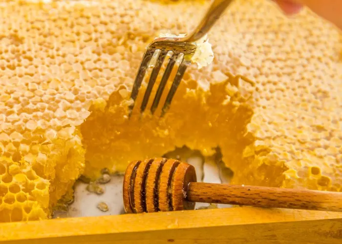 Excelsior Szálloda 3*